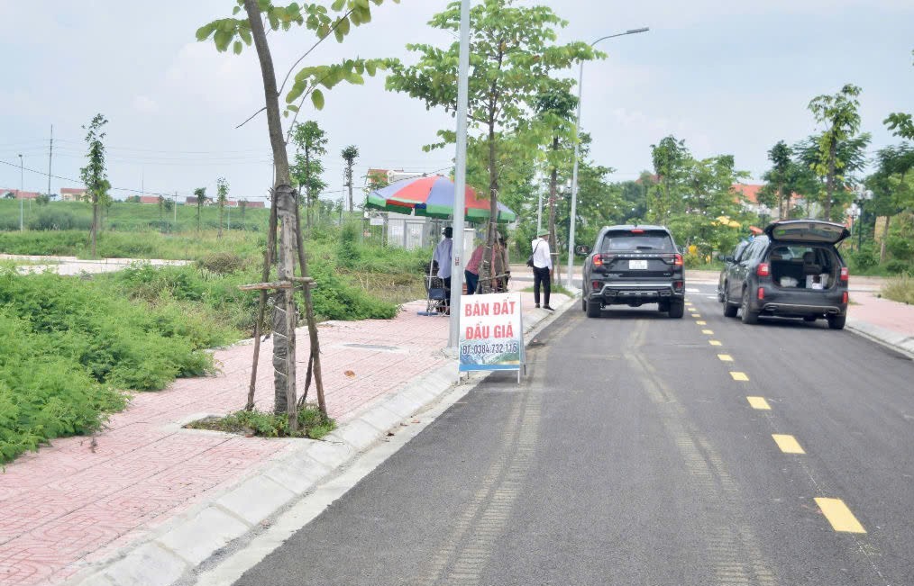 “Bỏ cọc đấu giá đất” bị cấm tham gia 5 năm và bồi thường toàn bộ thiệt hại?