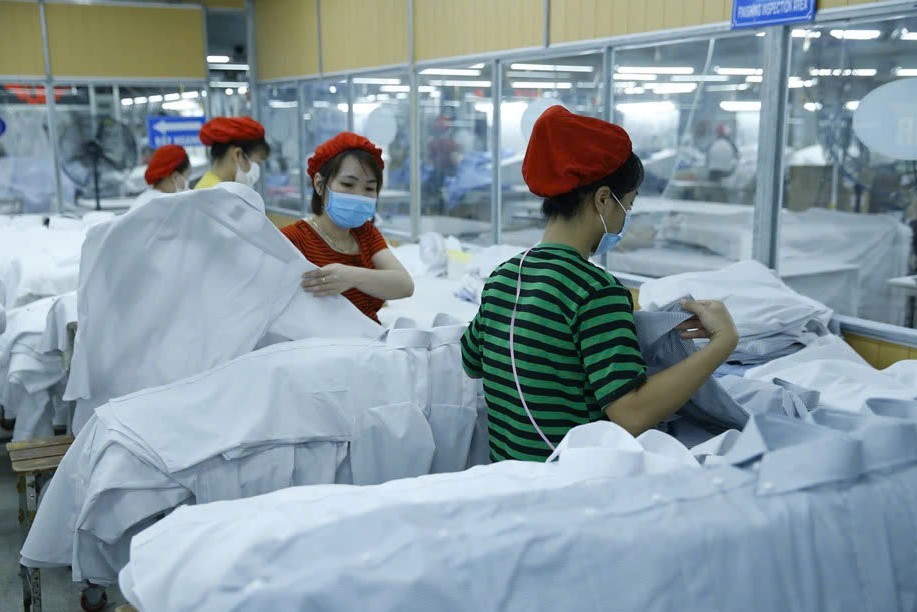 Xuất khẩu vào EU: Doanh nghiệp Việt cần chủ động thích ứng với "luật chơi" mới