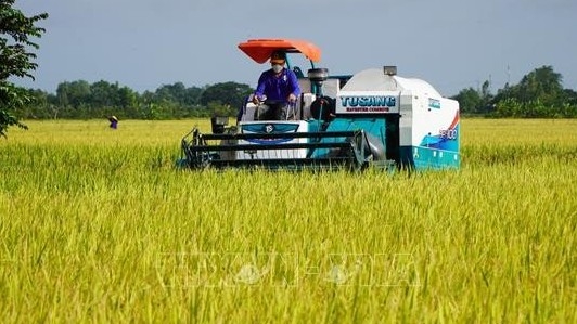 Hướng tới mục tiêu "nông nghiệp xanh, phát thải thấp"