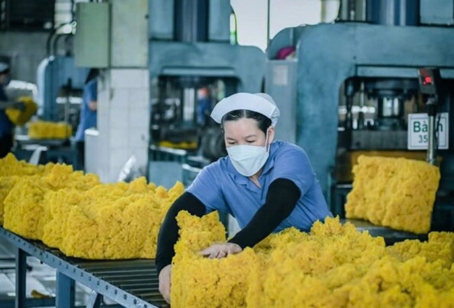 Giá cao su có cơ hội phục hồi trong những tháng cuối năm?