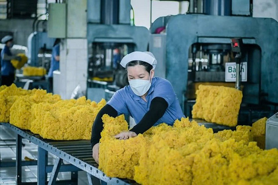 Giá cao su có cơ hội phục hồi trong những tháng cuối năm? Giá cao su có cơ hội phục hồi trong những tháng cuối năm?