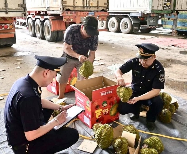 hai quan tan thanh tao thuan loi thuong mai thu ngan sach hon 3289 ty dong