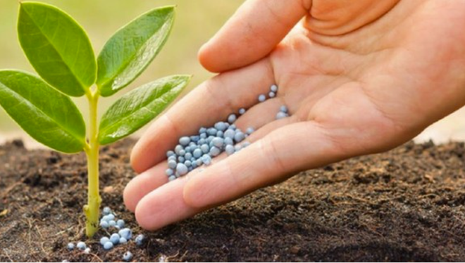 Sửa Luật Thuế giá trị gia tăng: Tháo gỡ ngay điểm nghẽn, tạo động lực phát triển sản xuất, kinh doanh Sửa Luật Thuế giá trị gia tăng: Tháo gỡ ngay điểm nghẽn, tạo động lực phát triển sản xuất, kinh doanh