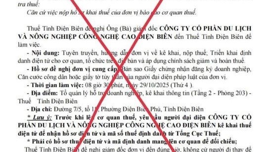 Thuế tỉnh Điện Biên cảnh báo tình trạng giả mạo cơ quan, công chức thuế