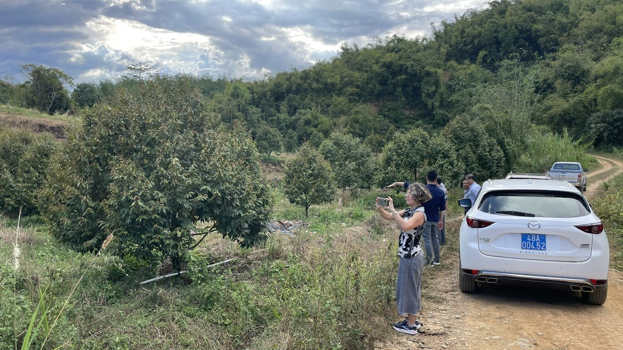 Việt Nam và IFAD ký kết Hiệp định viện trợ không hoàn lại 9,6 triệu USD giảm thiểu khí thải tại Lâm Đồng