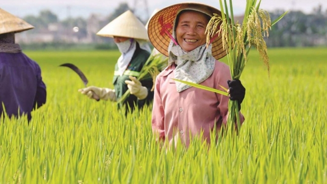 Đối thoại để đồng hành cùng nông dân bước vào kỷ nguyên mới