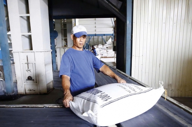 nen tang vung chac cho tang truong xanh va hoi nhap quoc te