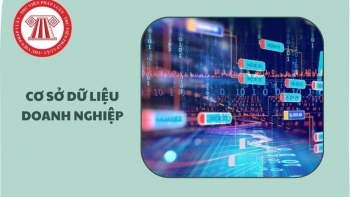 Bộ Tài chính ban hành kế hoạch triển khai xây dựng cơ sở dữ liệu doanh nghiệp