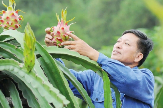dong hanh cung nong dan kien tao nen nong nghiep vung manh trong ky nguyen moi