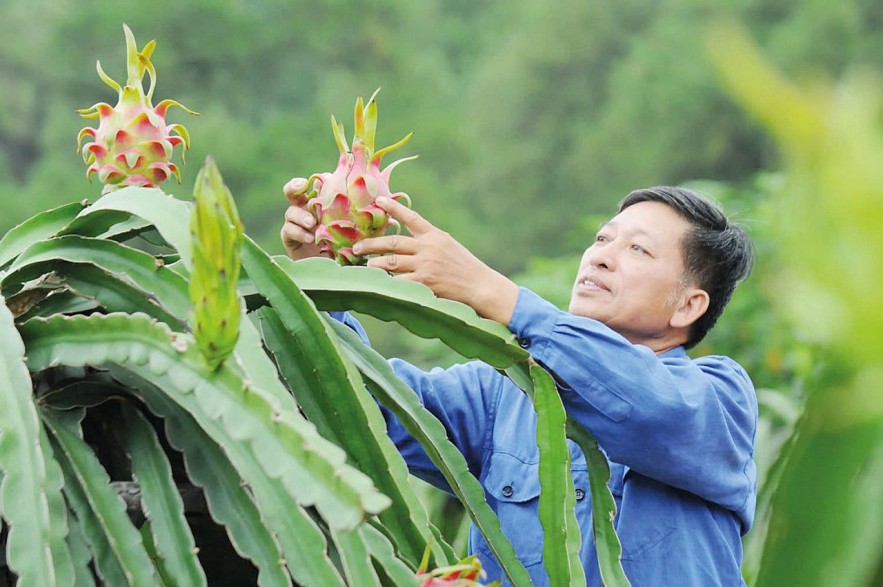 Đồng hành cùng nông dân, kiến tạo nền nông nghiệp vững mạnh trong kỷ nguyên mới Đồng hành cùng nông dân, kiến tạo nền nông nghiệp vững mạnh trong kỷ nguyên mới