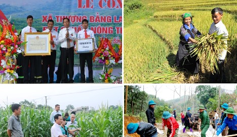 Ngành Nông nghiệp và Môi trường: Phong trào thi đua yêu nước lan tỏa sâu rộng