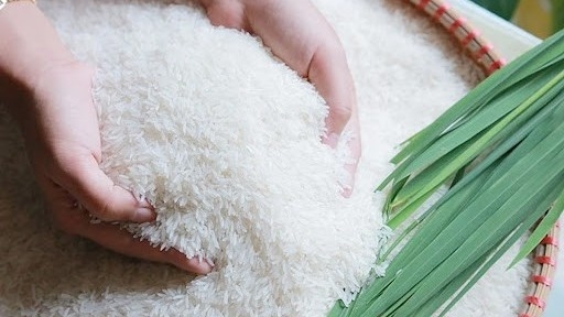 Ngày 8/11: Giá gạo nguyên liệu xuất khẩu tăng, lúa ổn định