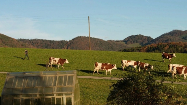 thuy si dat duoc thoa thuan voi hoa ky giam thue xuong 15