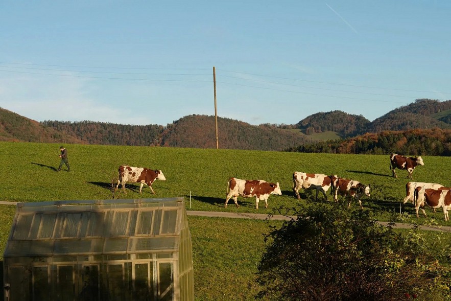 Thụy Sĩ đạt được thỏa thuận với Hoa Kỳ giảm thuế xuống 15%