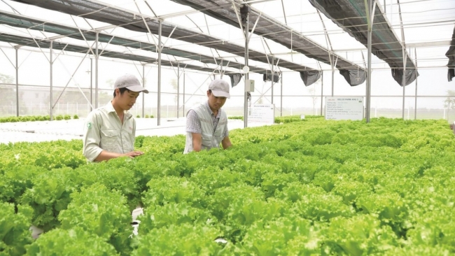 Tạo điều kiện cho doanh nghiệp, hợp tác xã tiếp cận gói tín dụng xanh, ưu đãi