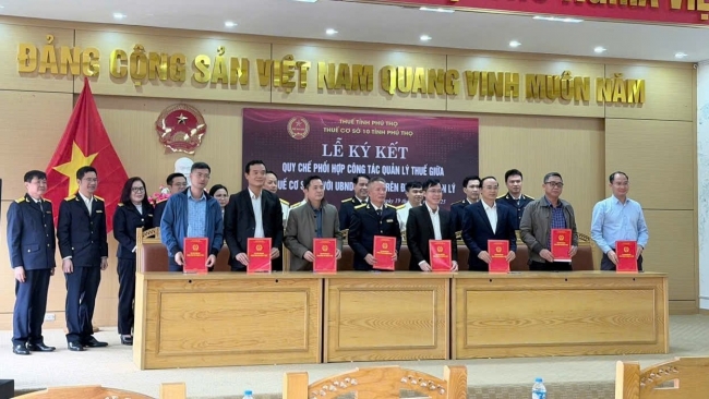 thue co so 10 tinh phu tho phoi hop voi uy ban nhan dan cac xa tang cuong quan ly thue