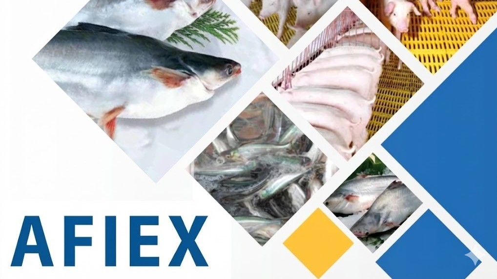 Chuyển động mới của AFIEX trước thềm niêm yết trên HOSE