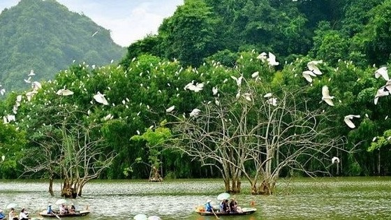 Việt Nam cam kết bảo vệ, bảo tồn thiên nhiên, đa dạng sinh học tại CoP20