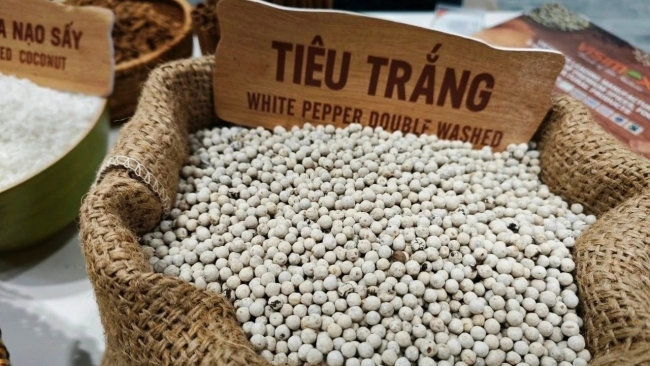 Ngày 4/12: Giá cà phê và hồ tiêu tiếp tục giảm sâu