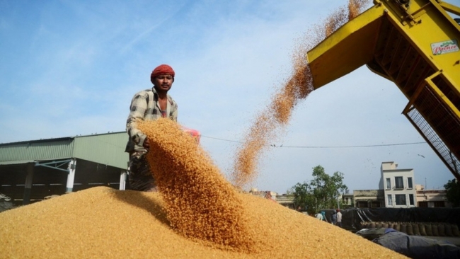 fao gia luong thuc the gioi giam thang thu ba lien tiep