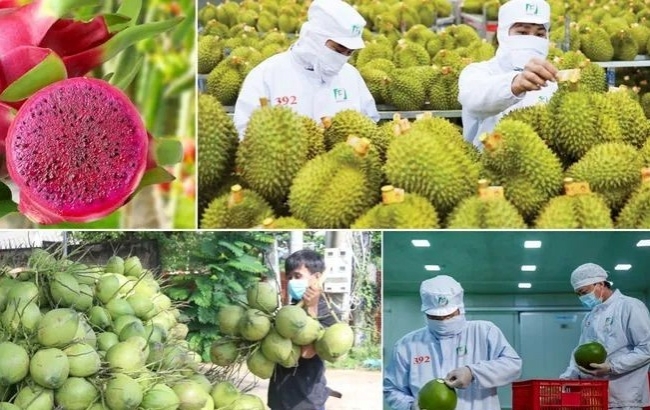 xuat khau nong lam thuy san huong toi moc 70 ty usd