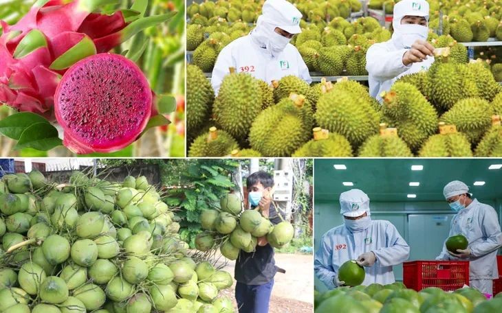 Xuất khẩu nông, lâm, thủy sản hướng tới mốc 70 tỷ USD