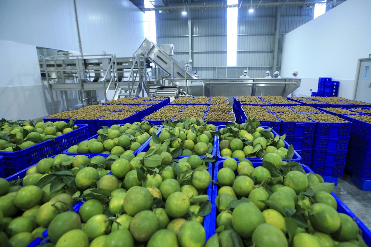 Công nghiệp chế biến nông, lâm, thủy sản có tốc độ tăng trưởng giá trị gia tăng hàng năm đạt 7-8%