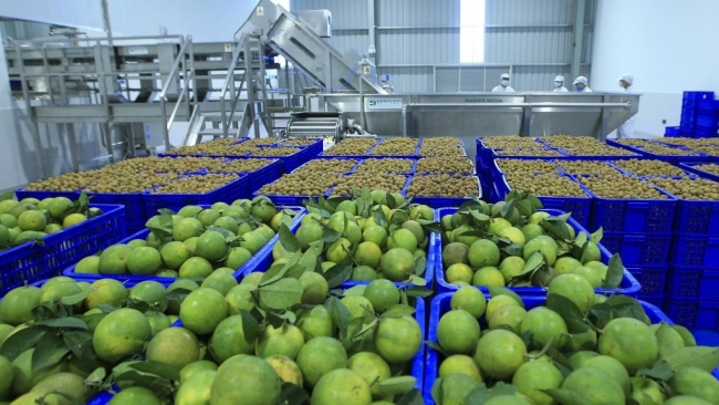 phat trien cong nghiep che bien nang cao nang luc canh tranh cho nong san viet