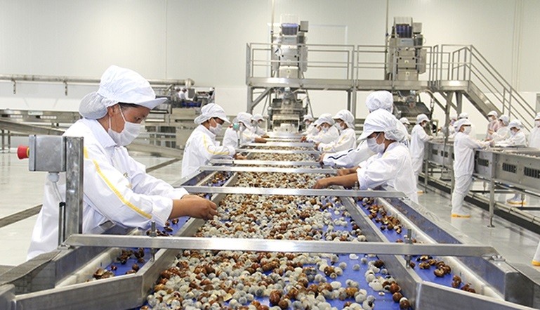 Phát triển công nghiệp chế biến, nâng cao năng lực cạnh tranh cho nông sản Việt