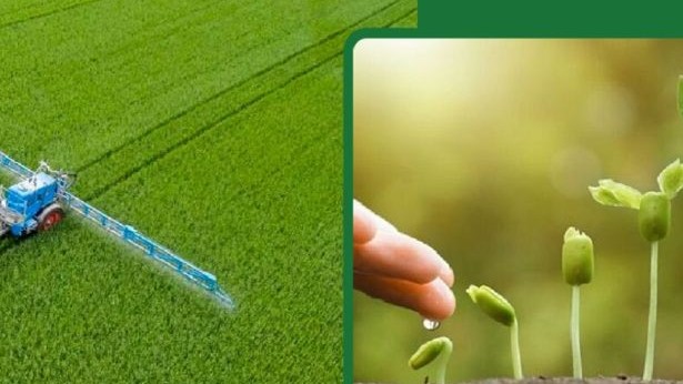 Phát triển trồng trọt và bảo vệ thực vật bền vững