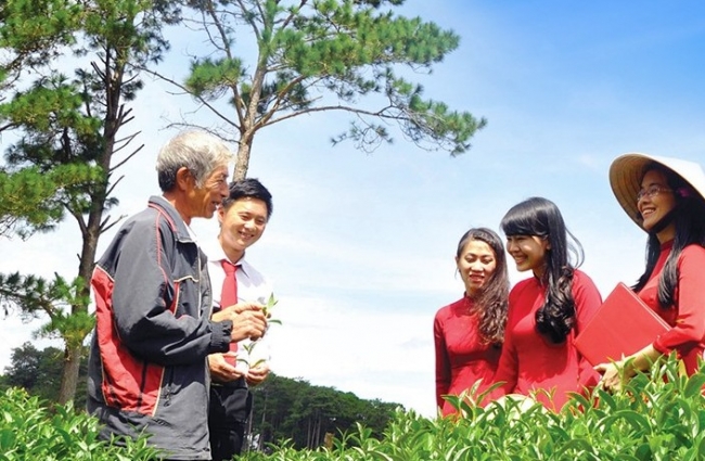 dong von tin dung luon uu tien va huong vao linh vuc tam nong