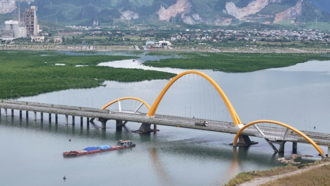 quang ninh hap dan dau tu nho chinh sach hieu qua