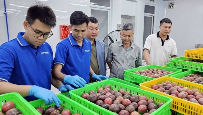 xay dung thuong hieu ben vung de day manh xuat khau chanh leo