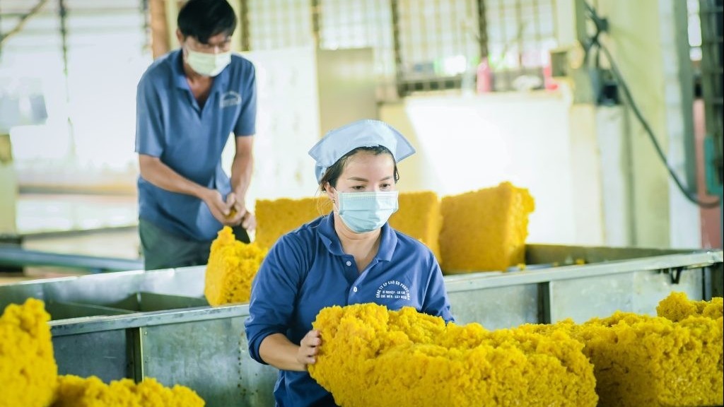 Ngày 13/12: Giá cao su tăng mạnh trên thị trường Nhật Bản