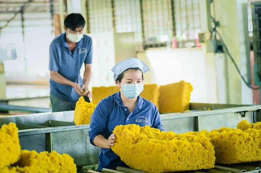 Ngày 18/12: Giá cao su phục hồi