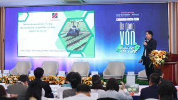 Mở rộng “đường dẫn” vốn cho tăng trưởng xanh, phát triển bền vững