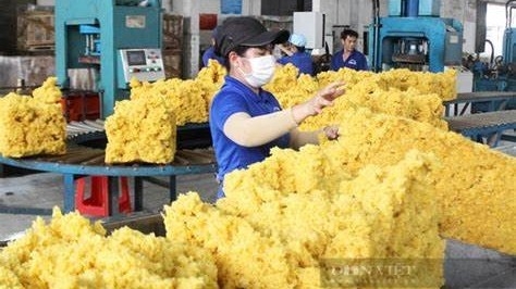 ngay 1612 gia cao su binh on trong nuoc giam manh tai thi truong nhat ban