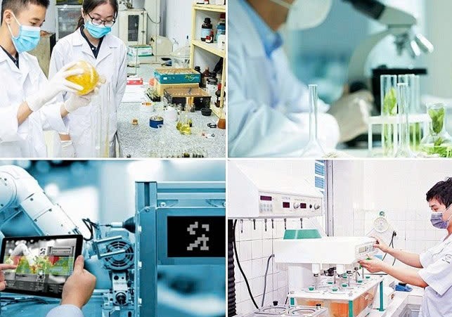 Cải cách căn bản  trong quản lý và thu hút đầu tư