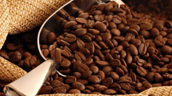 Ngày 22/12: Giá cà phê đi ngang, hồ tiêu neo cao ở mức 149.000 đồng/kg