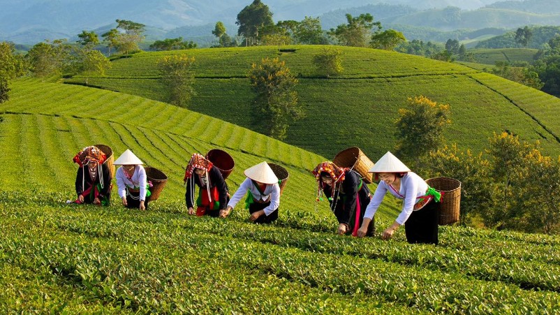 Phú Thọ khẳng định hiệu quả mô hình giảm nghèo bền vững