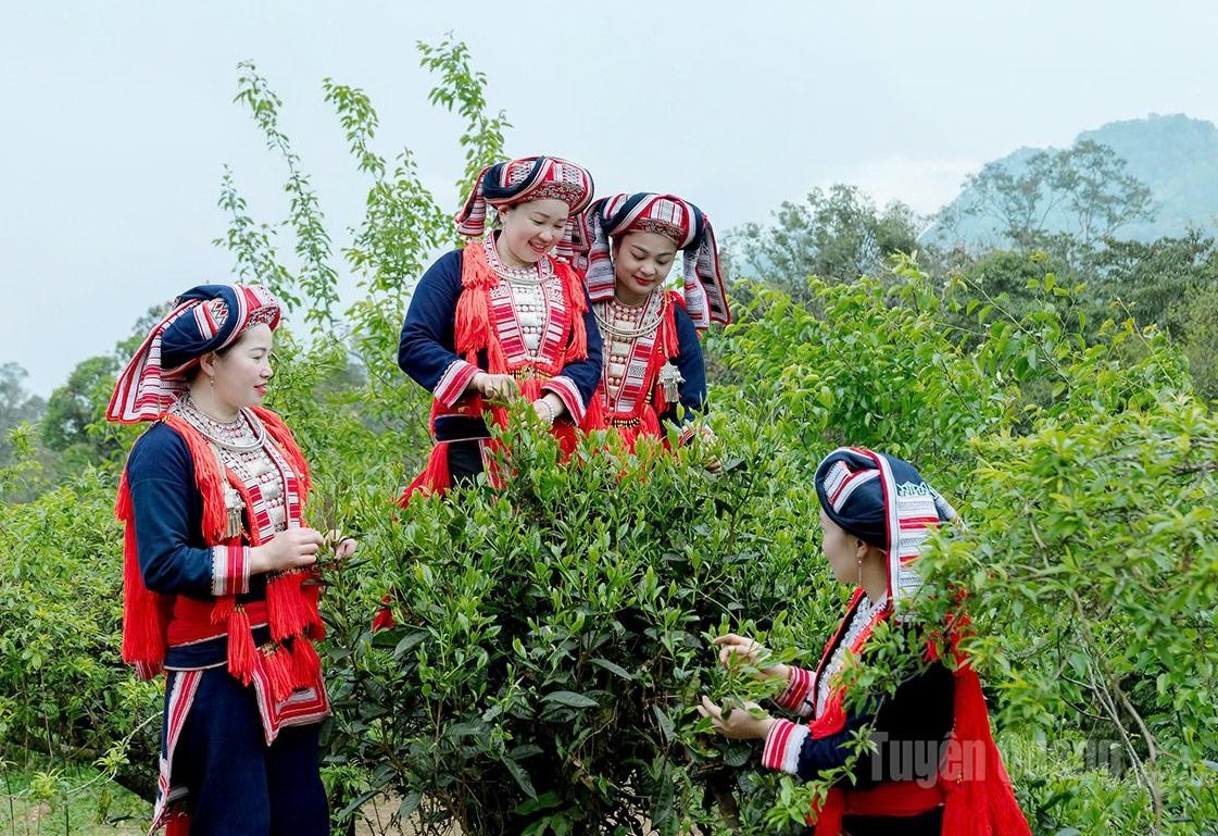 Bố trí khoảng 423.000 tỷ đồng cho giảm nghèo và phát triển vùng dân tộc thiểu số