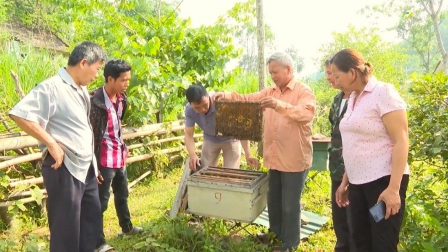 Cao Bằng chọn kinh tế rừng làm đòn bẩy giảm nghèo giai đoạn 2026 - 2030