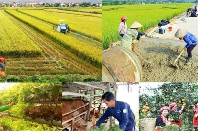 Đổi mới tư duy và cách làm trong triển khai các mô hình, dự án giảm nghèo