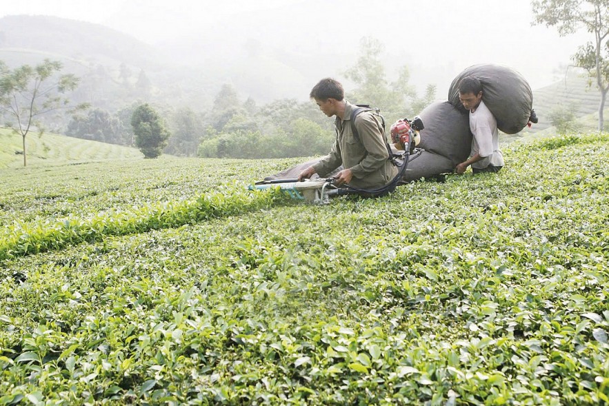 Tạo khung pháp lý hoàn chỉnh cho chương trình mục tiêu quốc gia