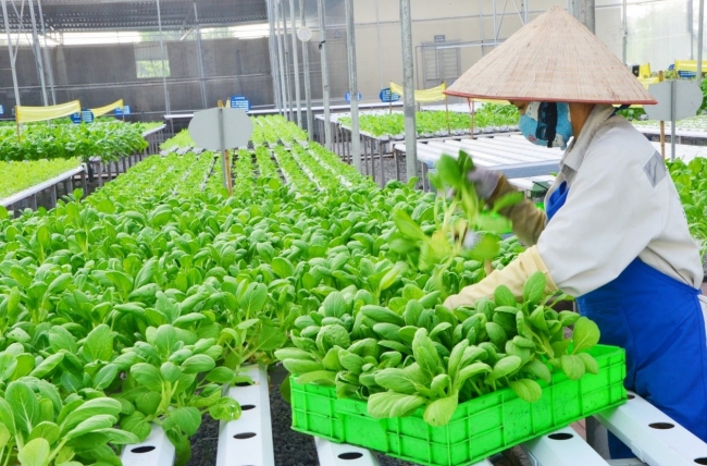 Thúc đẩy kinh tế tuần hoàn carbon thấp thông qua đổi mới công nghệ sạch