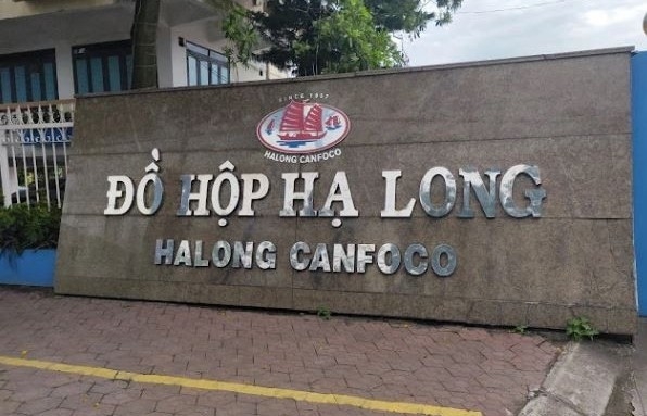 Cổ phiếu Đồ hộp Hạ Long sụt giảm mạnh sau thông tin liên quan đến thu mua thịt lợn bệnh