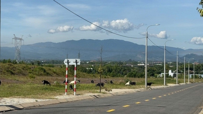 da nang day nhanh tien do dau tu ha tang cum cong nghiep tranh lang phi nguon luc
