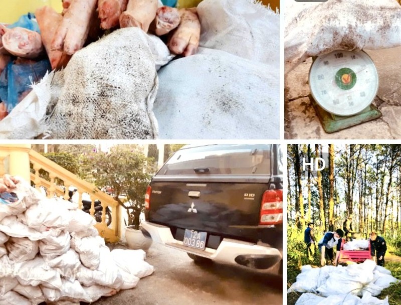 Hải quan bắt giữ hơn 3,3 tấn lá thuốc lá và 1,5 tấn thực phẩm nhập lậu tại biên giới phía Bắc