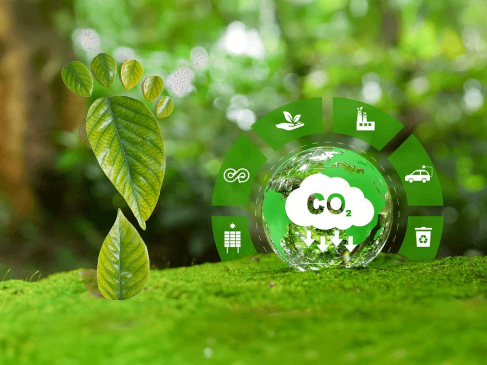 Quy định về sàn giao dịch các-bon trong nước