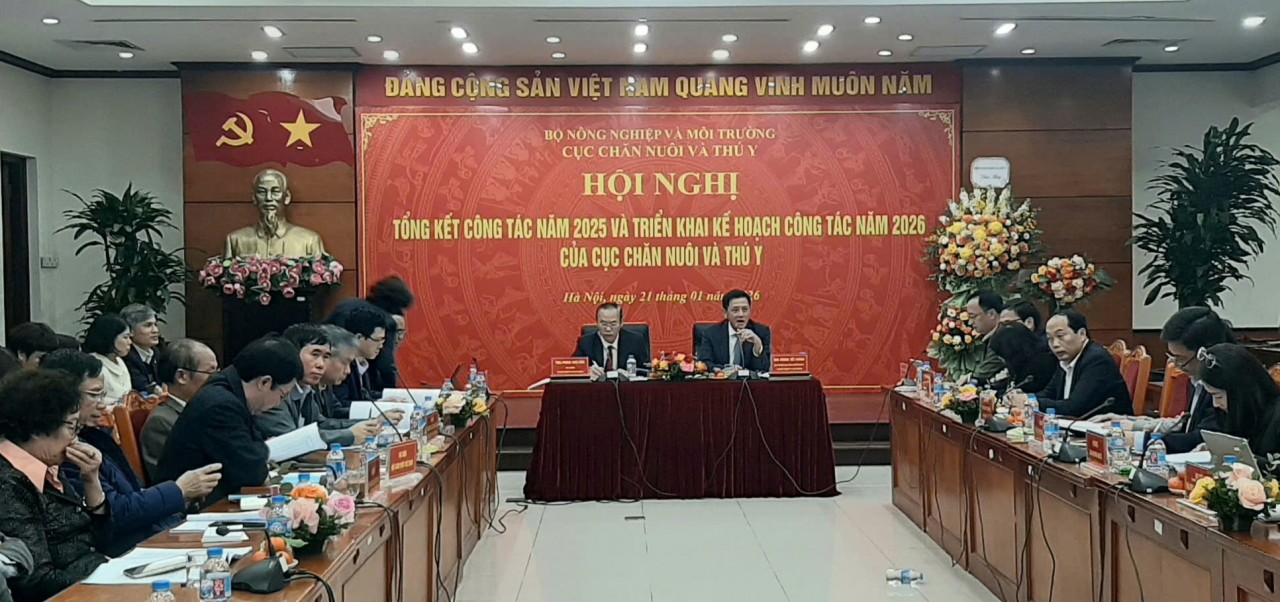 Giá sản phẩm chăn nuôi duy trì ở mức cao đã mang lại lợi nhuận cho người chăn nuôi Giá sản phẩm chăn nuôi duy trì ở mức cao đã mang lại lợi nhuận cho người chăn nuôi